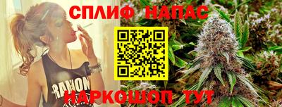 jwh Нальчик
