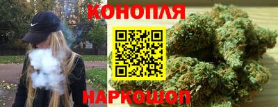 jwh Нальчик